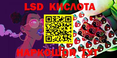 бошки Обь